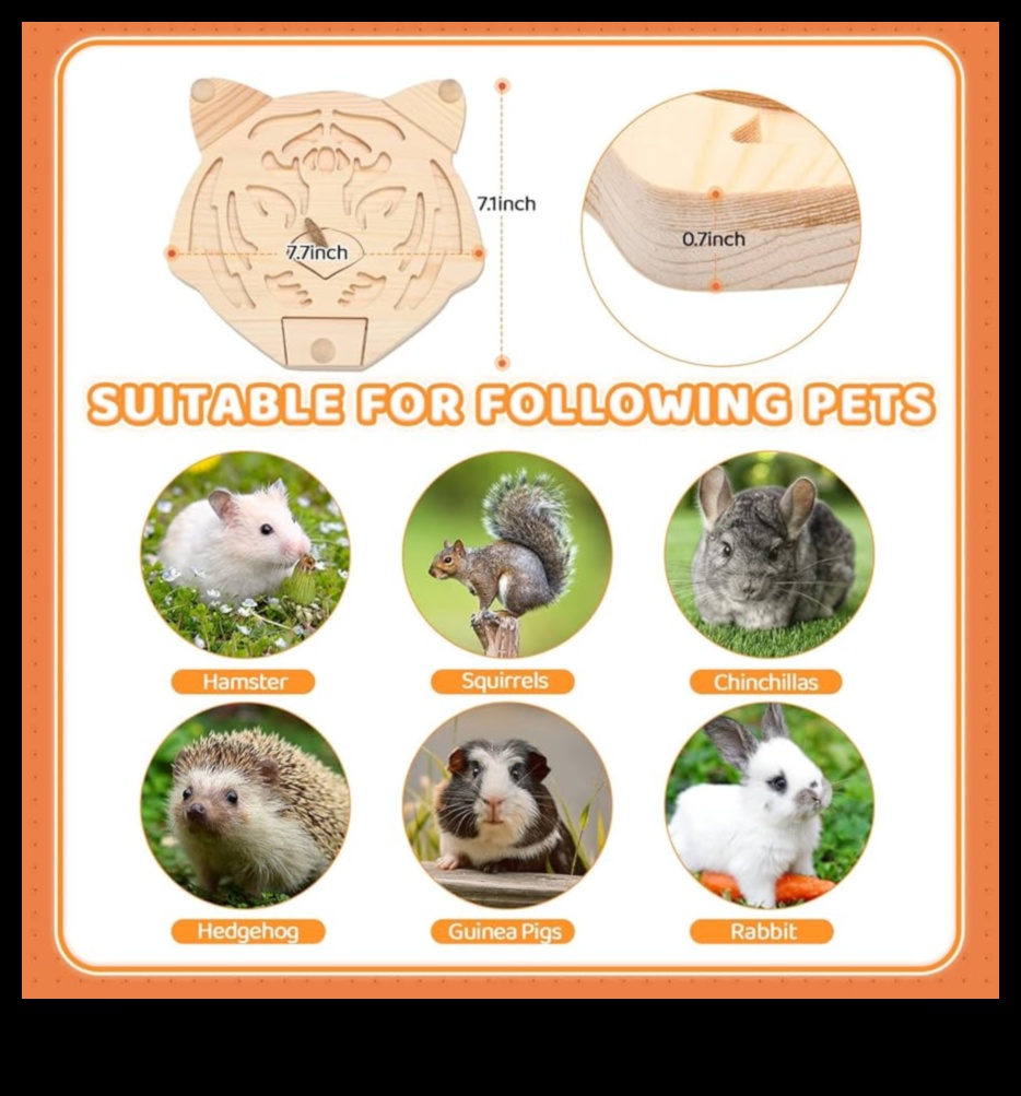 Hamster Playtime Continued: Interactive Games for Mental Stimulation