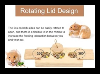 Hamster Playtime: Fun and Interactive Games for Enrichment