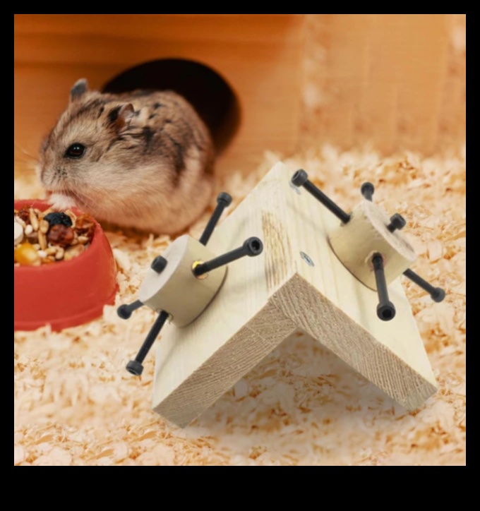 Hamster Playtime: Fun and Interactive Games for Enrichment