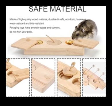 Hamster Playtime: Fun and Interactive Games for Enrichment