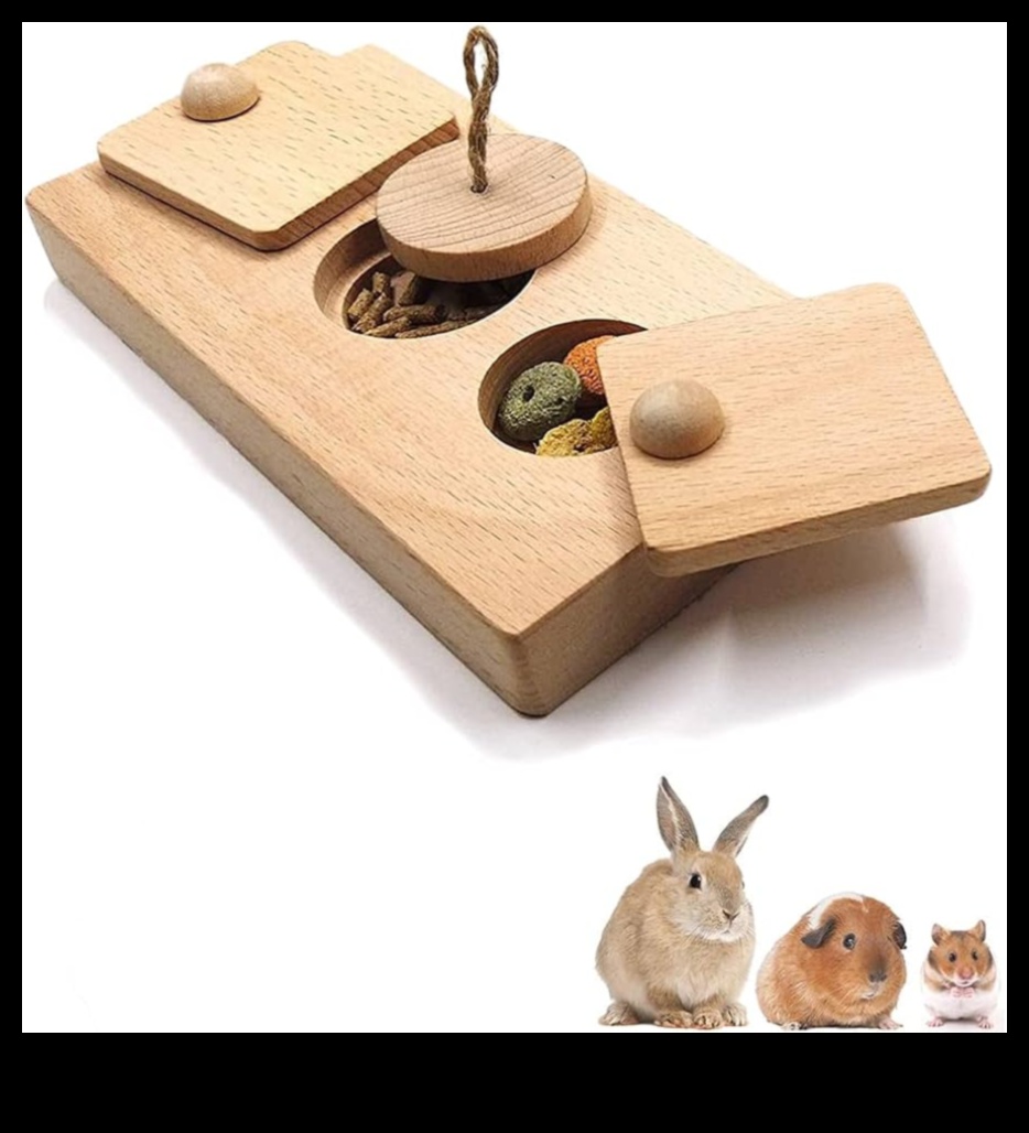 Hamster Playtime: Fun and Interactive Games for Enrichment