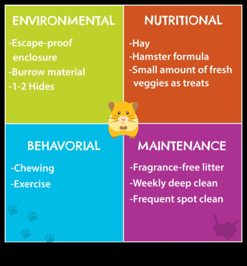 Hamster Safety Precautions Creating Hazard-Free Environments 1