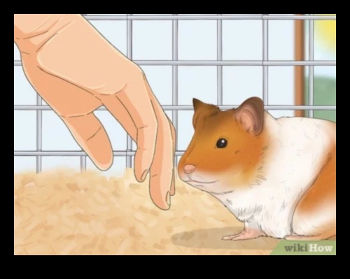 Hamster Socialization Strategies: Building Bonds with Your Furry Friend