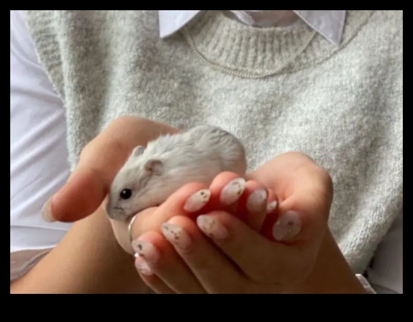 Hamster Socialization Tips: Encouraging Positive Interactions