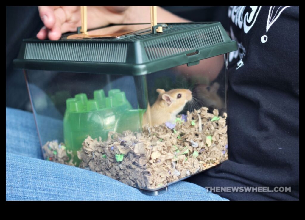 Hamster Travel Tips How to Safely Transport Your Pet 1