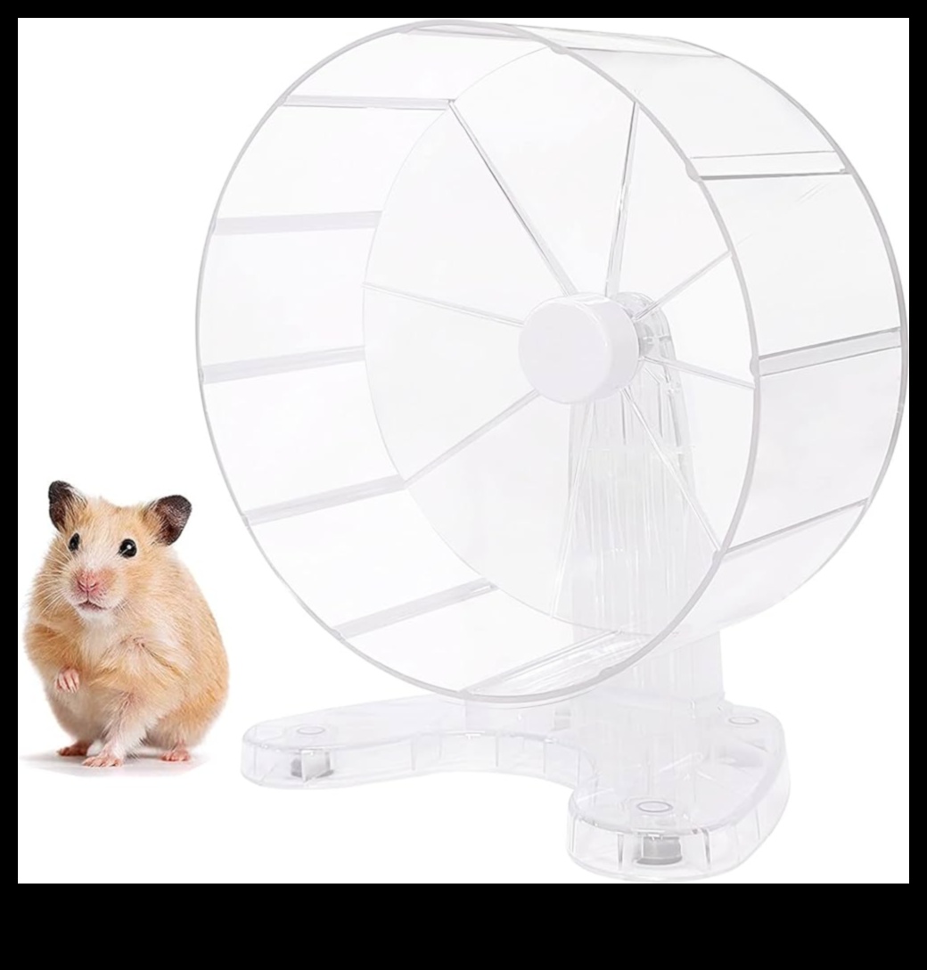 Hamster Wheel Options Continued: Evaluating Features for Optimal Use