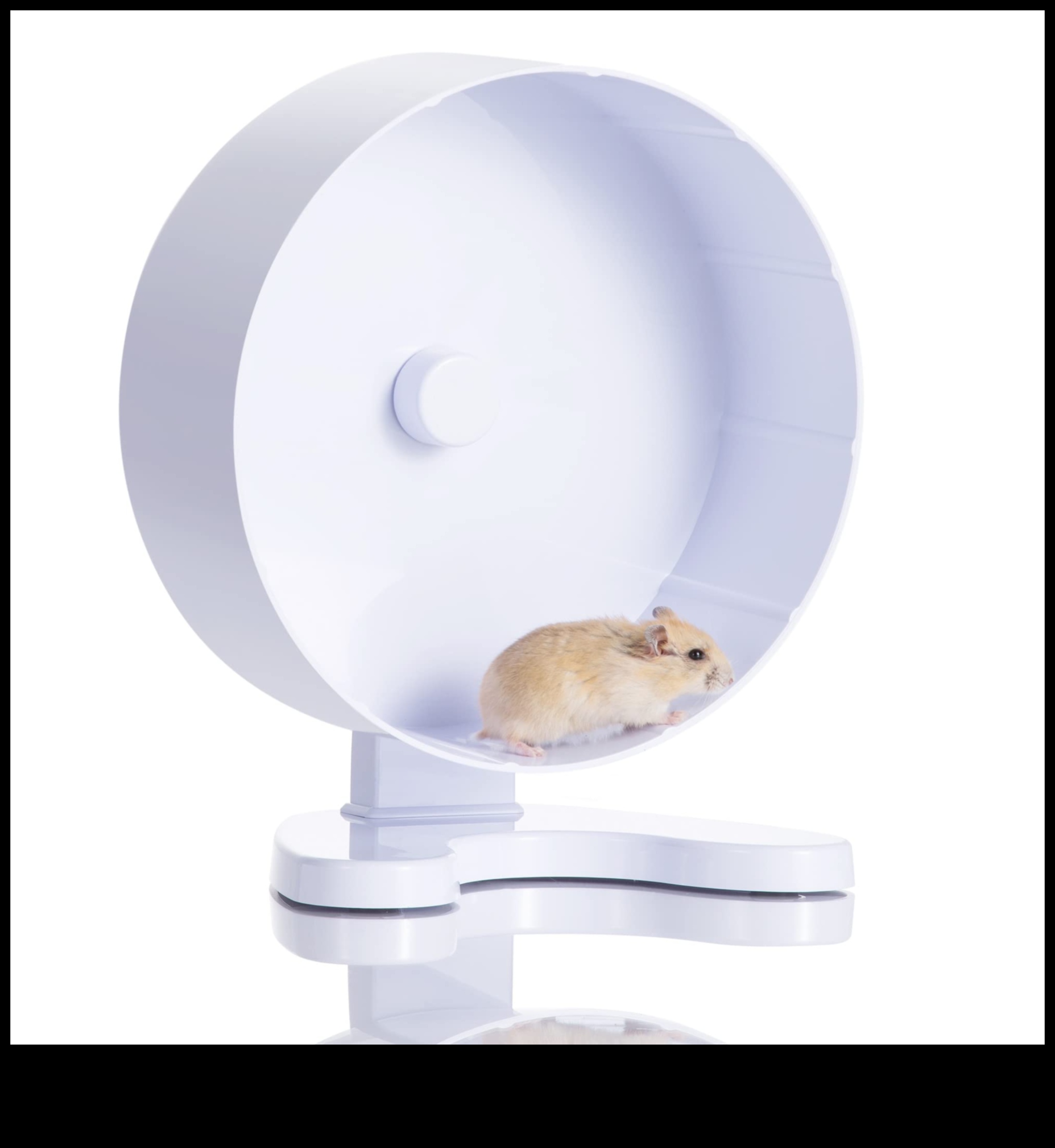 Hamster Wheel Options Continued: Evaluating Features for Optimal Use