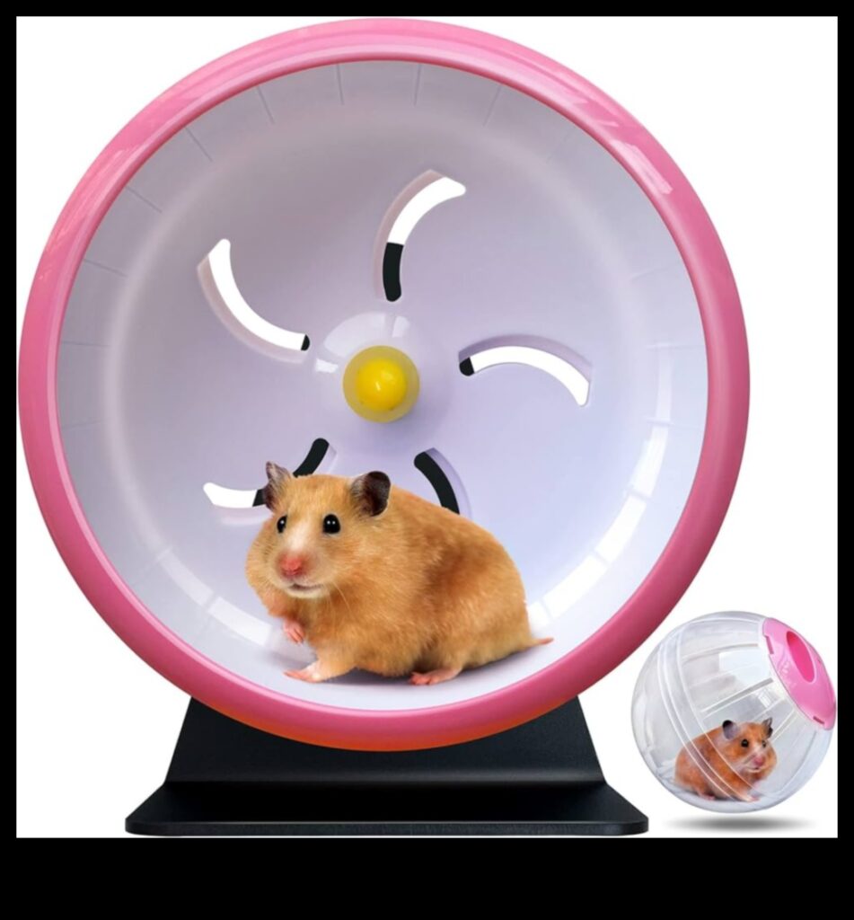 Hamster Wheel Options Continued Silent and Comfortable Choices 1