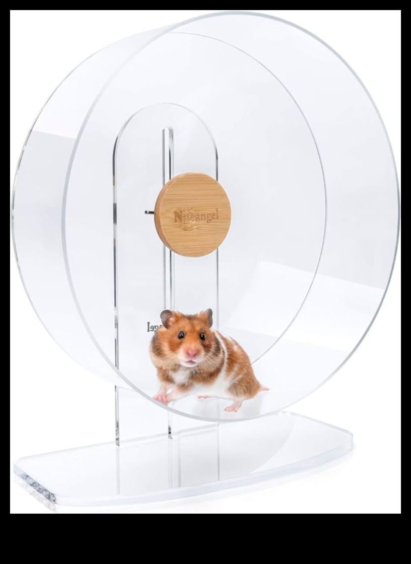 Hamster Wheel Options Continued: Silent and Comfortable Choices