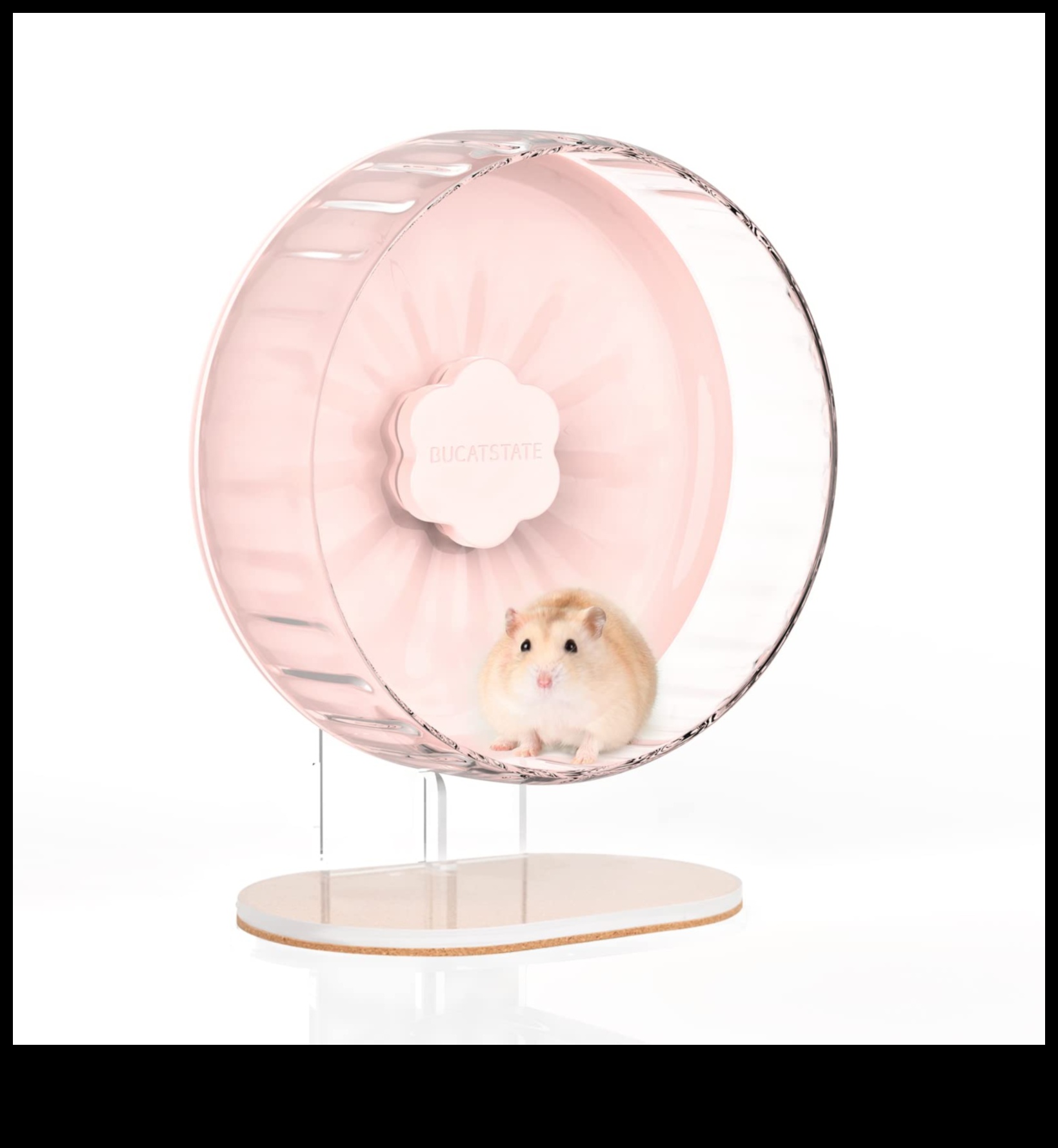 Hamster Wheel Options Continued: Silent and Comfortable Choices