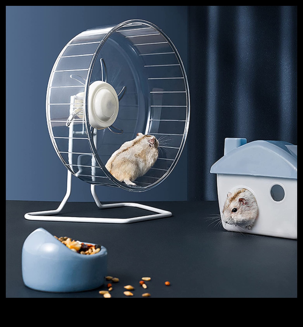 Hamster Wheel Safety Continued: Addressing Common Concerns and Misconceptions