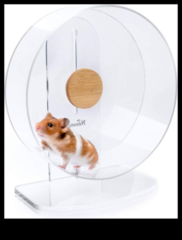 Hamster Wheel Safety Continued Balancing Rotation Mechanisms 1