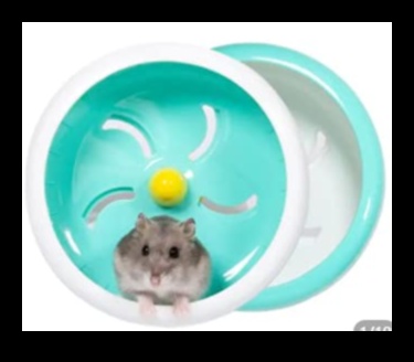Hamster Wheel Safety Continued Ensuring Smooth and Silent Rotation 1
