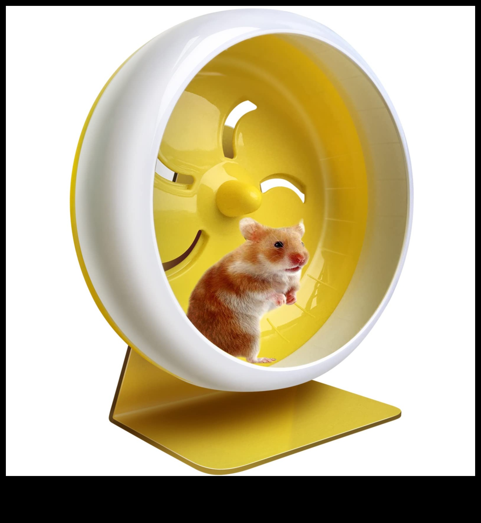 Hamster Wheel Safety Continued: Importance of Comfortable Surfaces