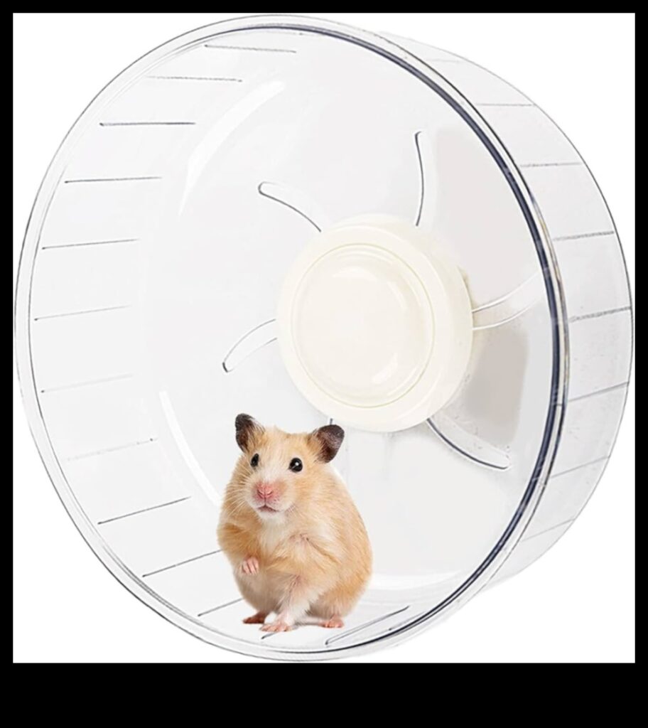Hamster Wheel Safety Continued Monitoring Your Pet's Exercise Routine 1