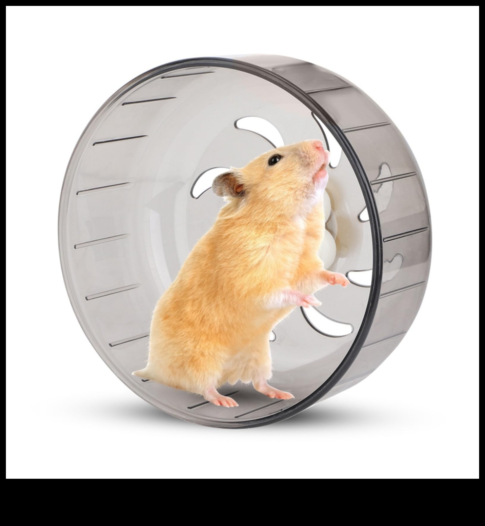 Hamster Wheel Safety Continued: Monitoring Your Pet's Exercise Routine