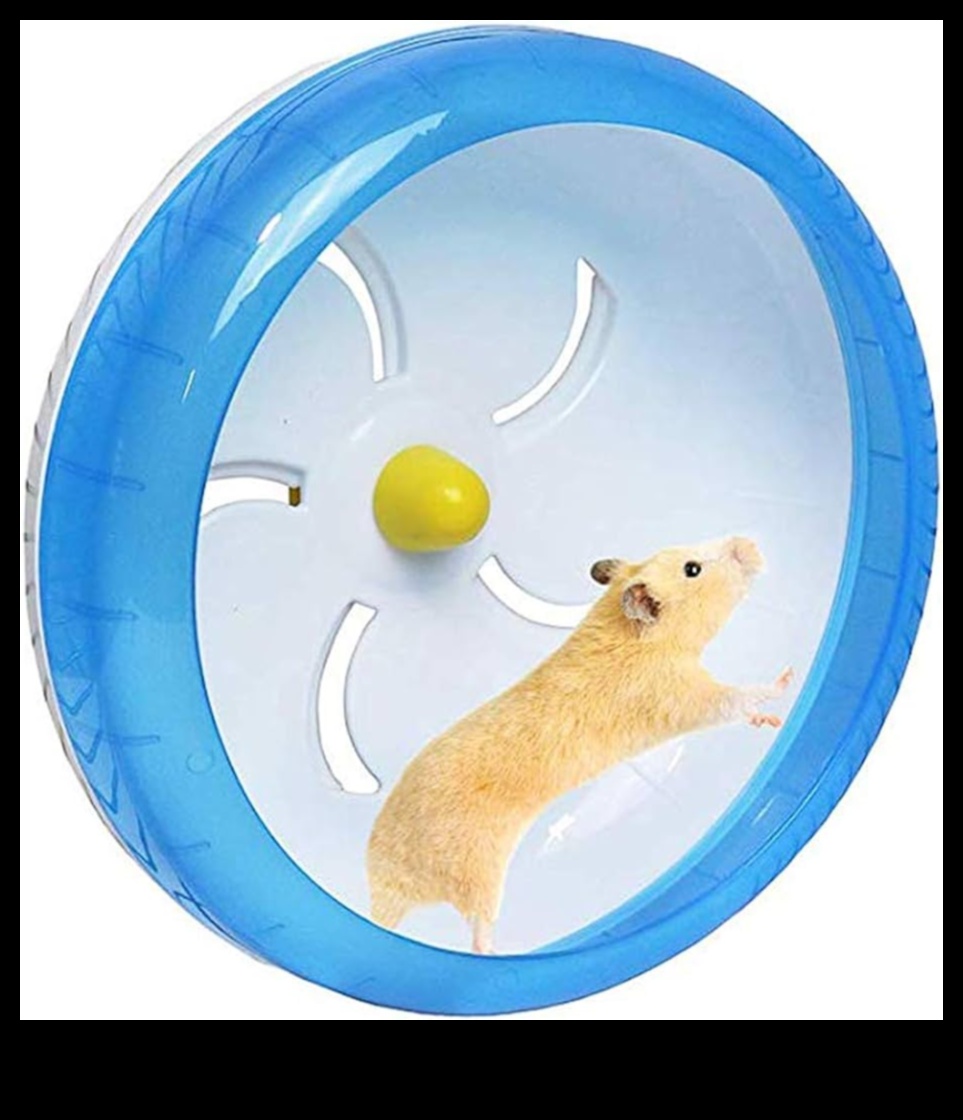 Hamster Wheel Safety Continued: Monitoring Your Pet's Exercise Routine
