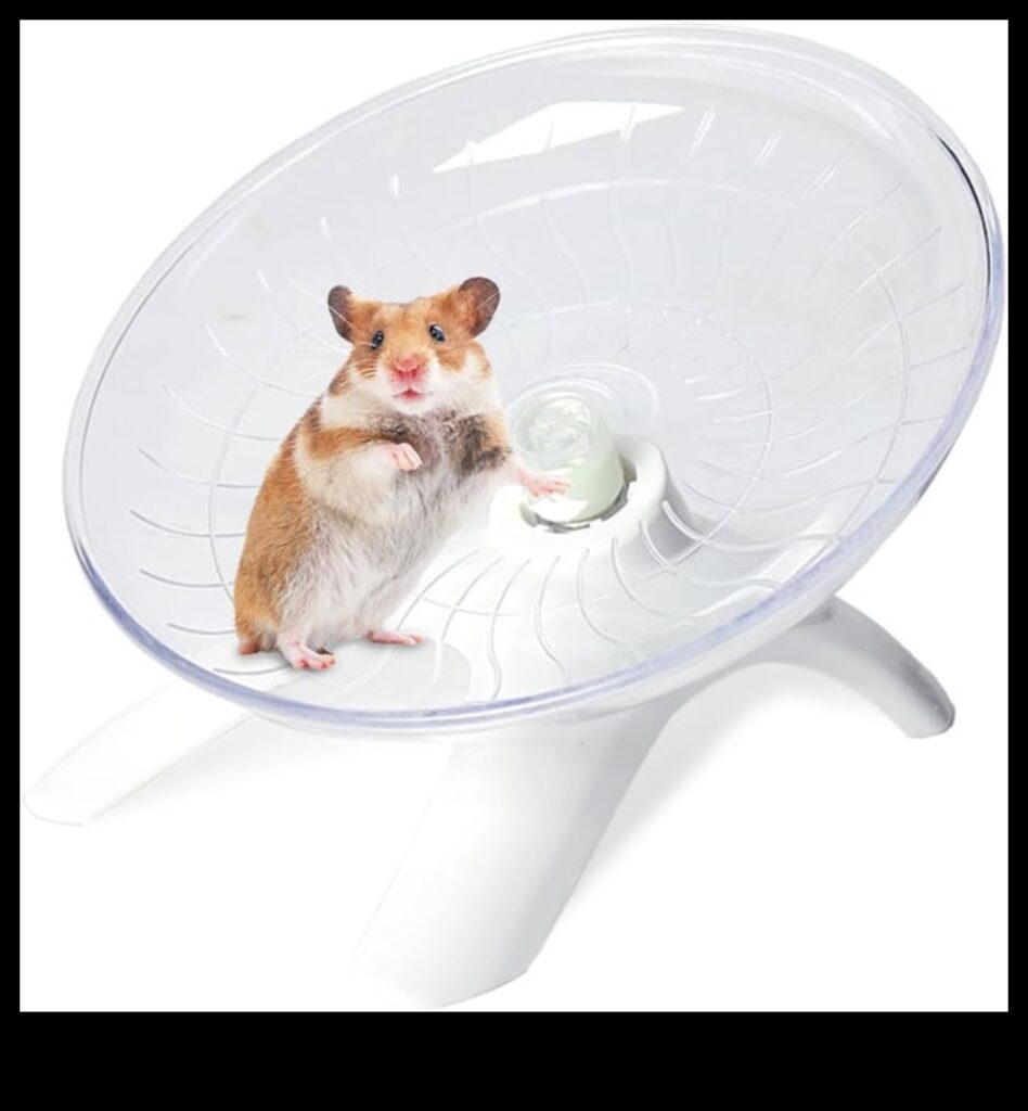 Hamster Wheel Safety Continued Promoting a Healthy Exercise Routine 1