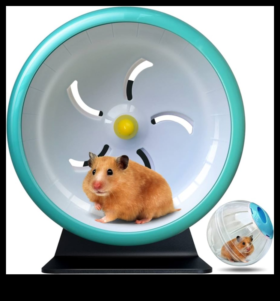 Hamster Wheel Safety Continued: Promoting a Healthy Exercise Routine