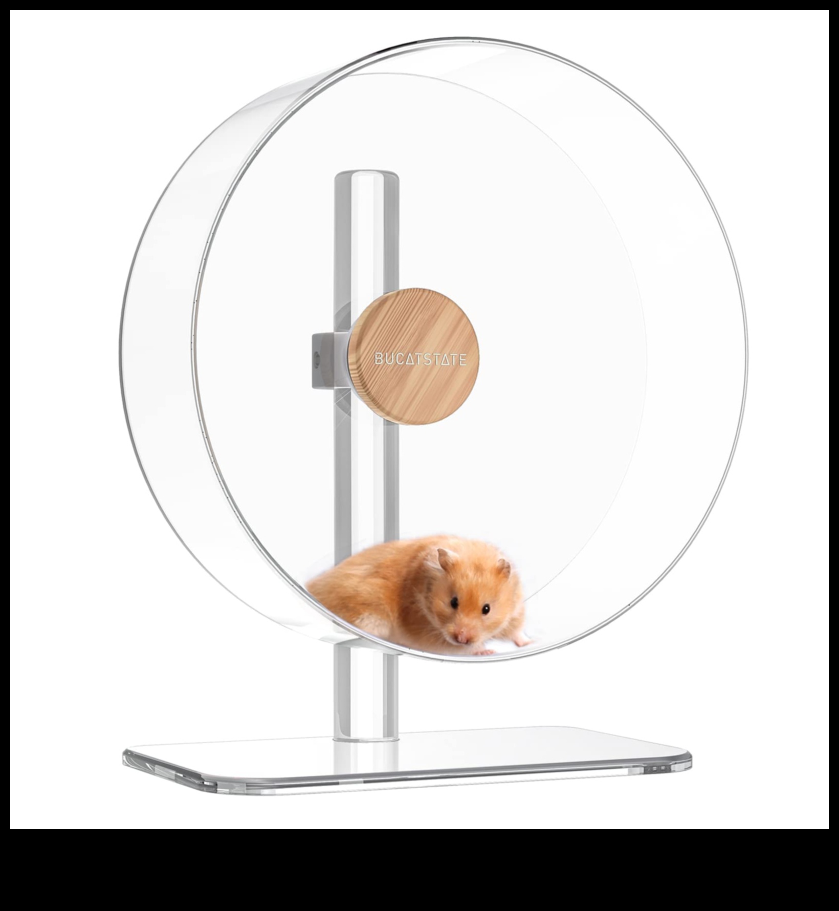 Hamster Wheel Safety Continued: Regular Maintenance and Checks