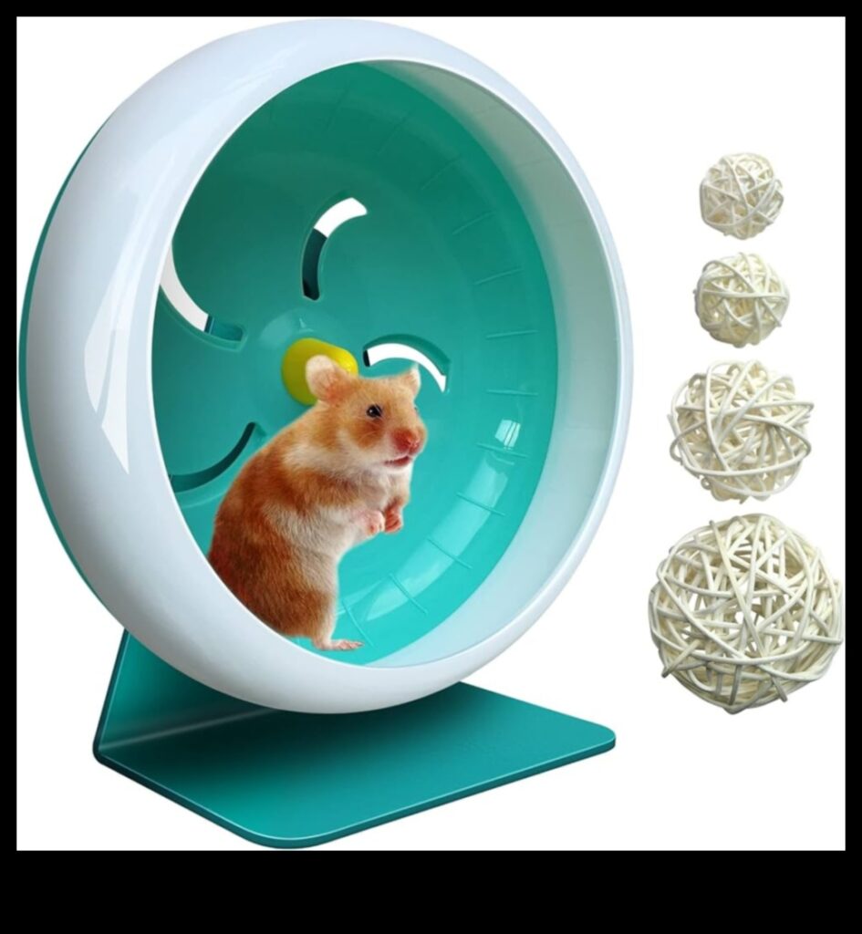 Hamster Wheel Safety Continued Silent Options for a Quiet Environment 1