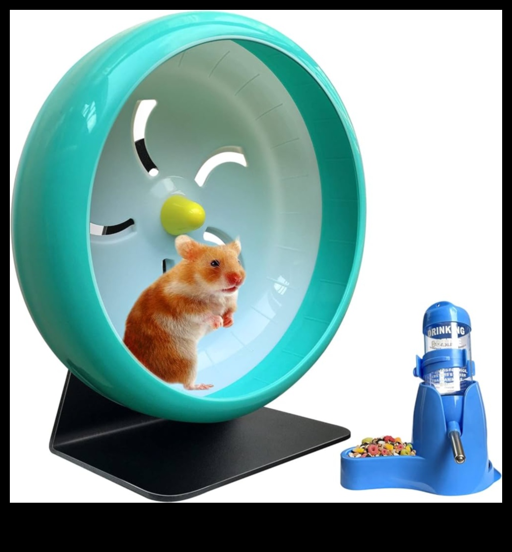 Hamster Wheel Safety Continued: Silent Options for a Quiet Environment