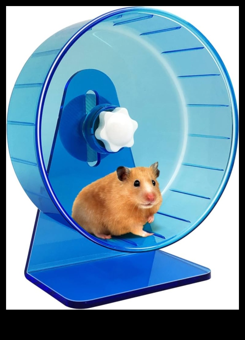 Hamster Wheel Safety Continued: Silent Options for a Quiet Environment