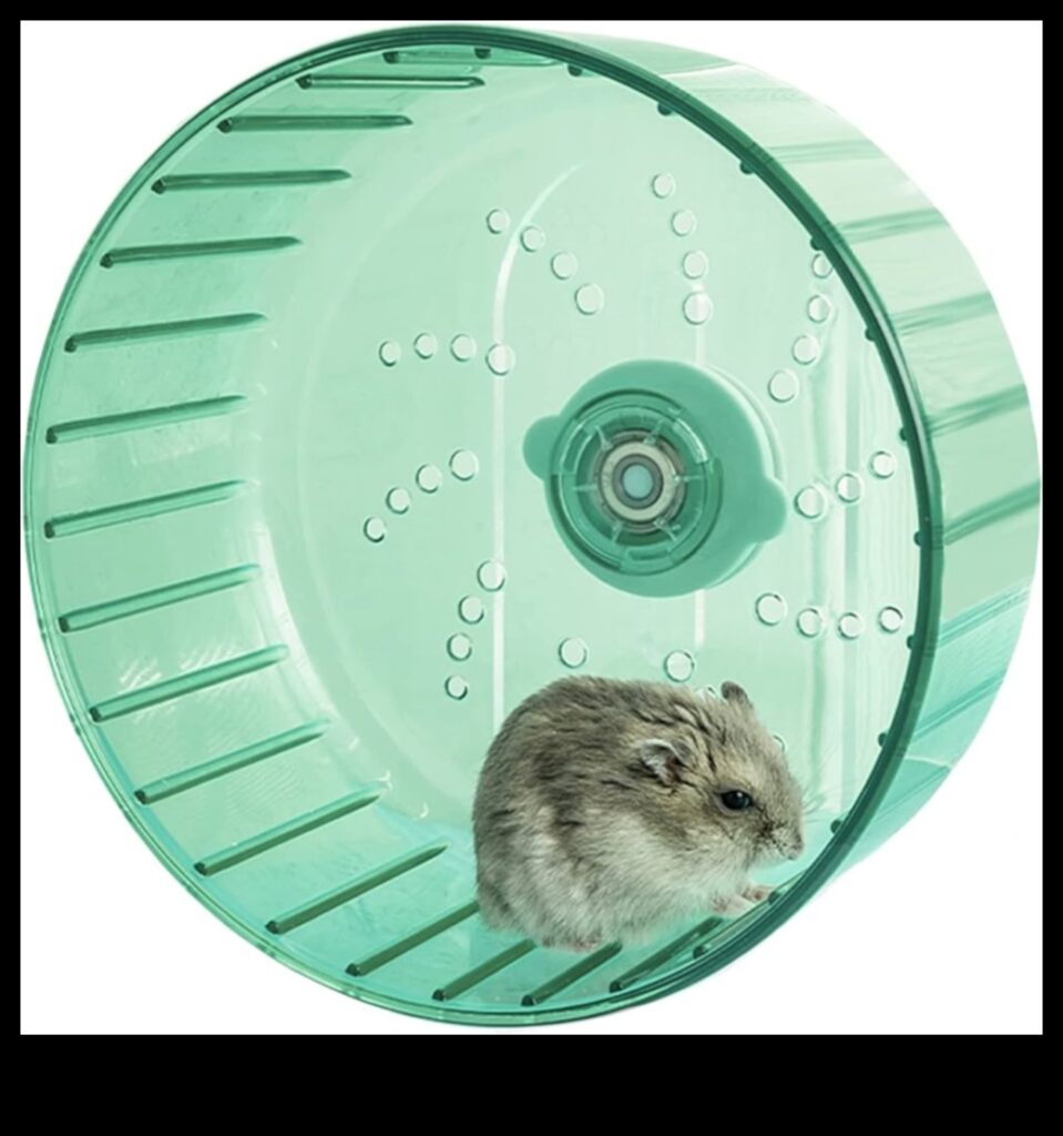 Hamster Wheel Upgrades Innovative Options for Enhanced Exercise 1