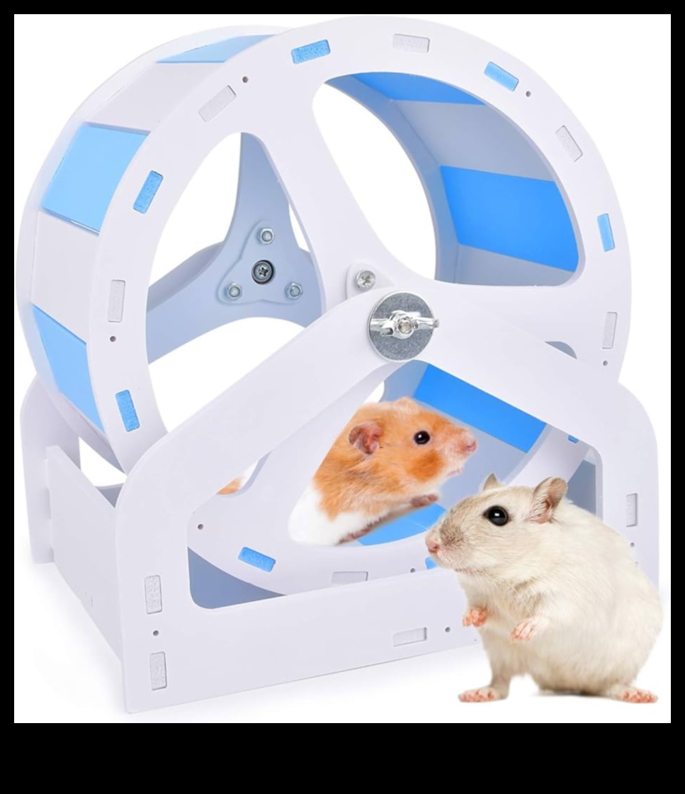 Hamster Wheel Upgrades: Innovative Options for Enhanced Exercise