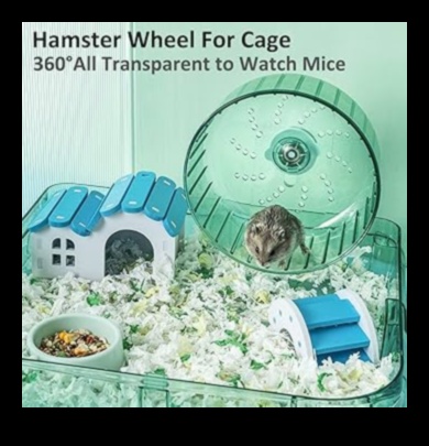 Hamster Wheel Upgrades: Innovative Options for Enhanced Exercise