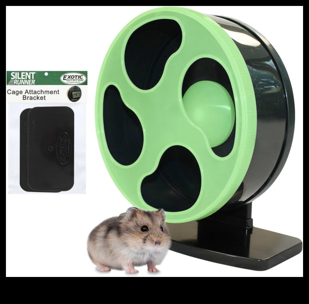 Hamster Wheel Upgrades: Innovative Options for Enhanced Exercise
