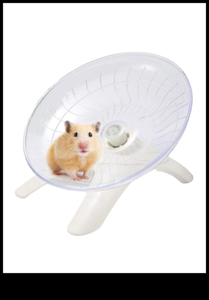 Hamster Wheel Whirlwind Spinning Fun for Active Hamsters 1