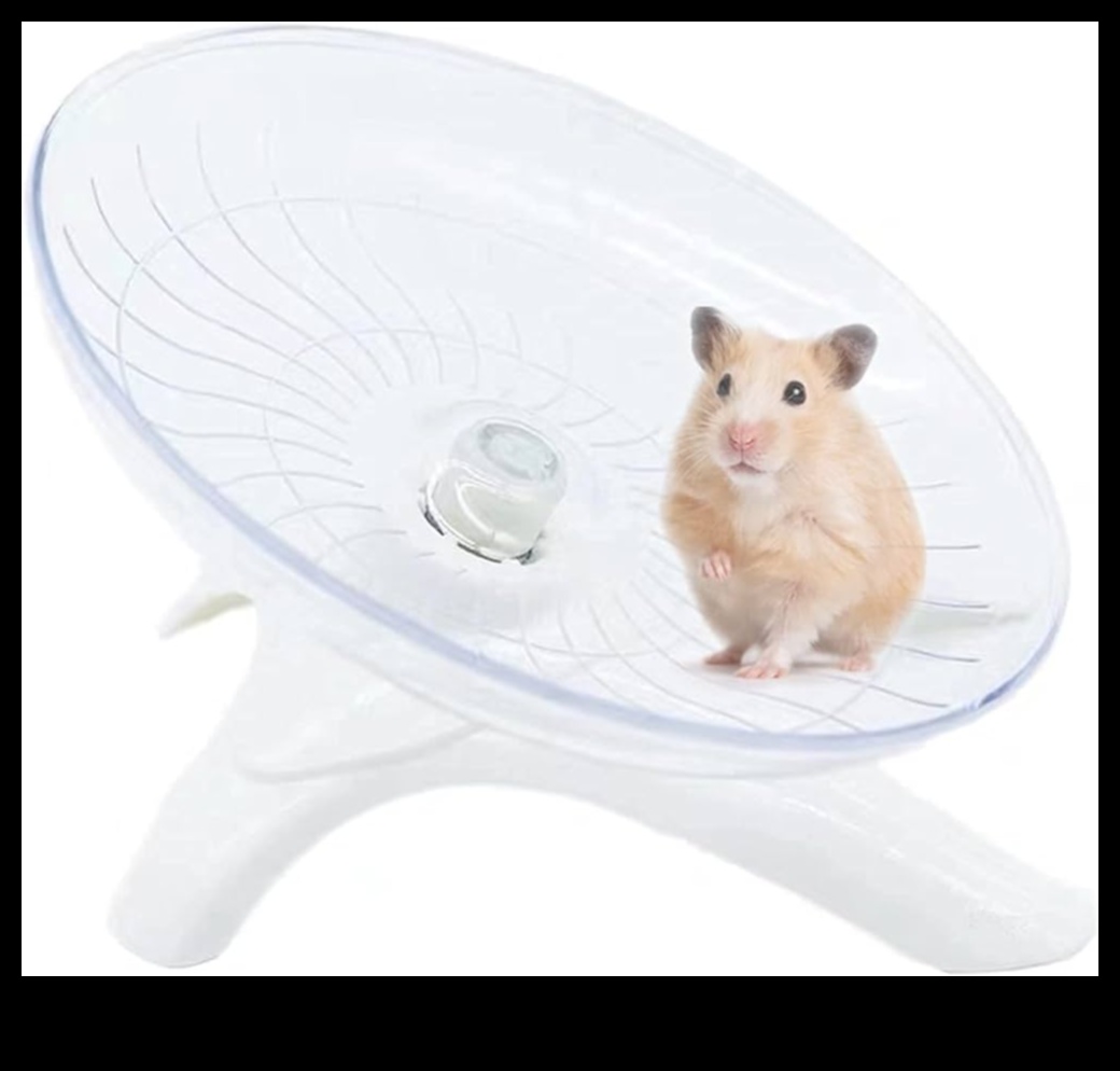 Hamster Wheel Whirlwind: Spinning Fun for Active Hamsters