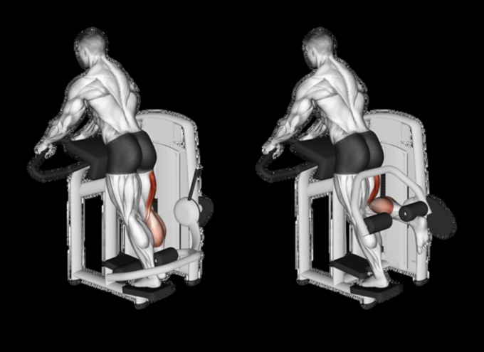 Hamstring Haven A Comprehensive Guide to Strengthening and Sculpting Your Leg Muscles 1