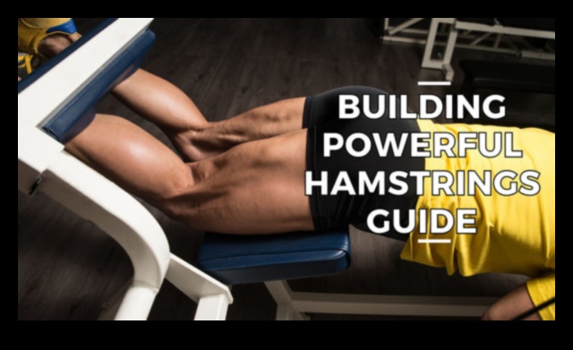 Hamstring Haven: Exercises for Powerful and Defined Leg Muscles