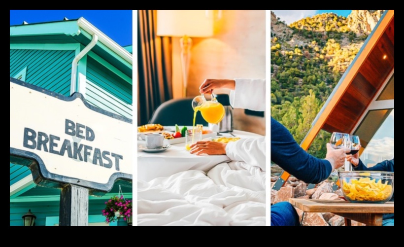 Haven Handbook A Comprehensive Guide to StaysThe ultimate resource for finding the perfect place to stay, from hotels and Airbnbs to bed and breakfasts and hostels. 1