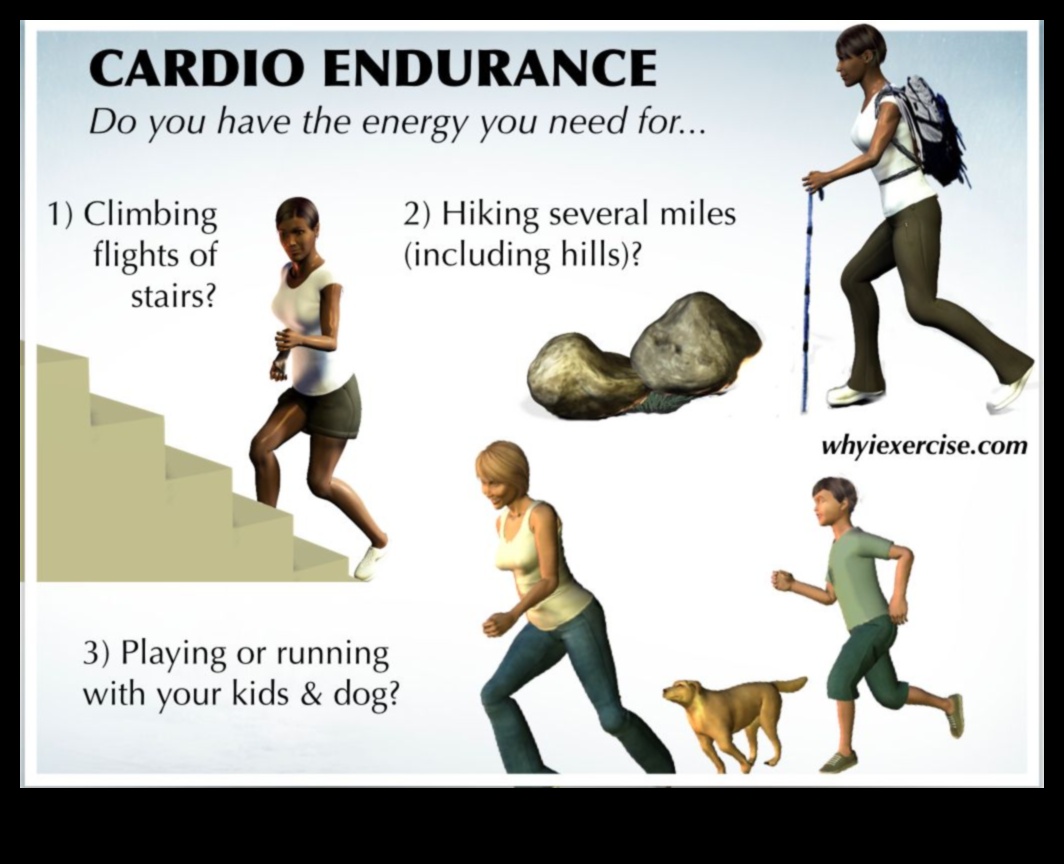 Heart Fitness Revelations: Unlocking the Secrets of Cardio
