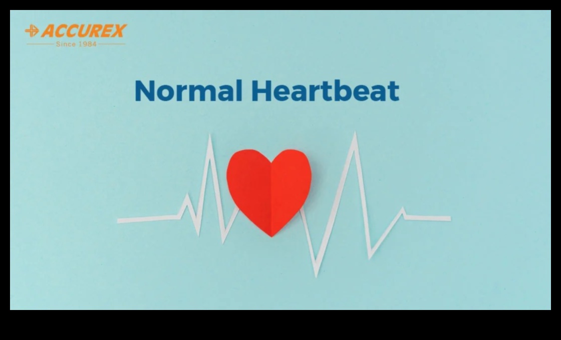 Heart Fitness Symphony: Conductor of a Healthy Life