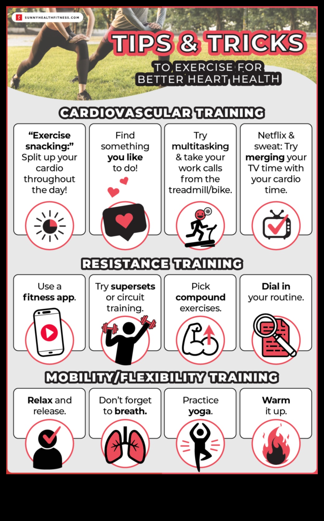 Heart Health Harmonics: The Cardiovascular Workout Guide