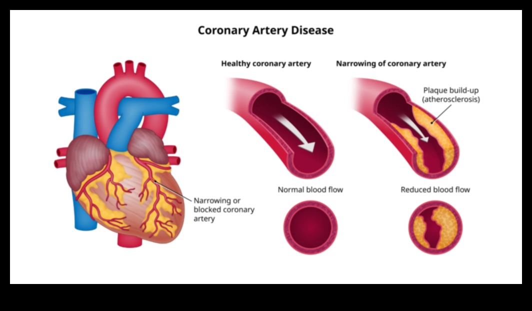 Heart Health Horizons: Exploring the Depths of Cardio Fitness