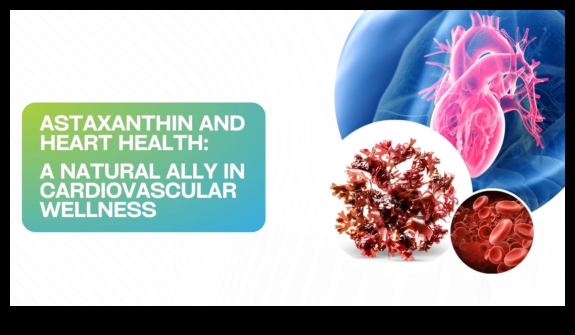 Heart Health Horizons: Discovering Wellness through Cardio