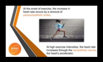 Heartbeat Harmony: Discovering Joy in Cardiovascular Fitness