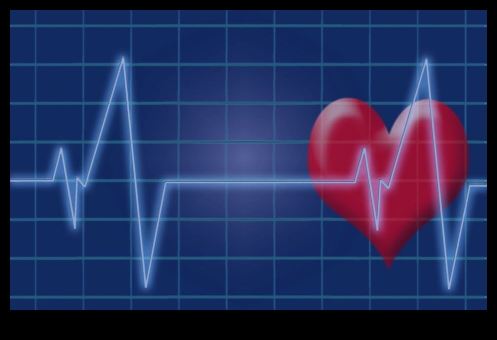 Heartbeat Resonance The Echo of Cardiovascular FitnessHow your heart's rhythm can reveal your overall health. 1