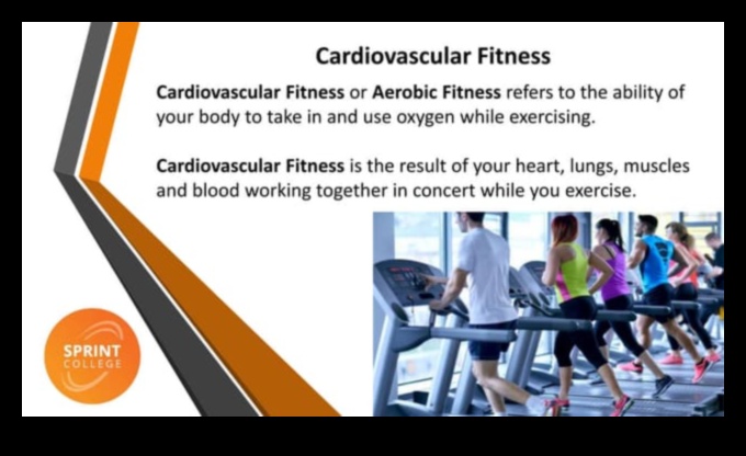 Heartbeats in Harmony: The Art of Cardiovascular Fitness