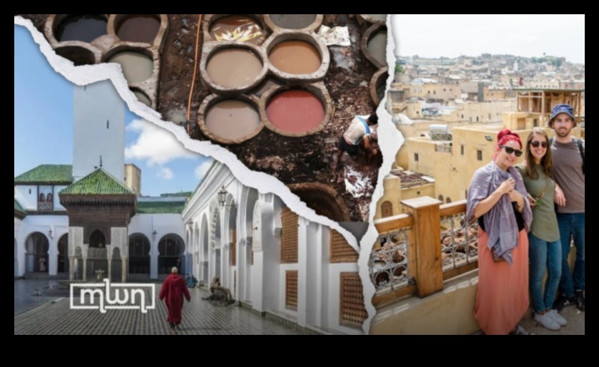 Heritage Havens: Safeguarding the Riches of Cultural Sites