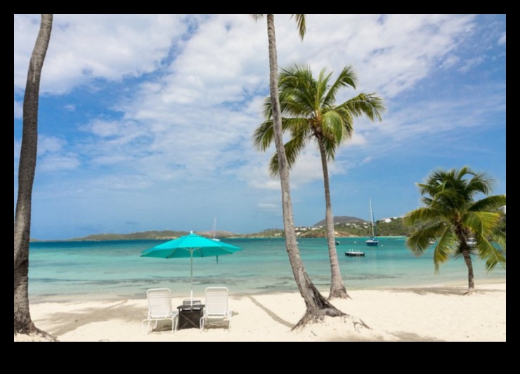 Hidden Harbor: Navigating the Shores of Local Attractions