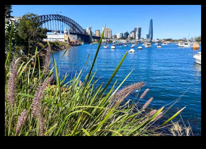 Hidden Harbor A Guide to the Shores of Local Gems 1