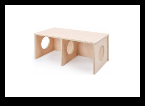 Hide and Seek with Hamsters: Peek-a-Boo Fun for Small Pets