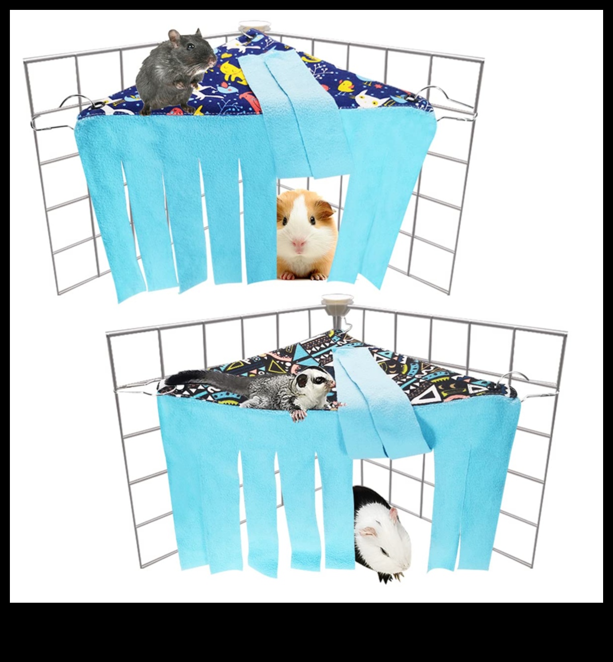 Hide and Seek with Hamsters: Peek-a-Boo Fun for Small Pets