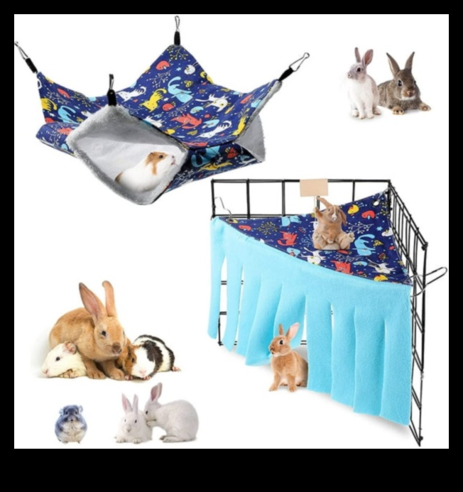 Hide and Seek with Hamsters: Peek-a-Boo Fun for Small Pets